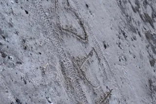 Make Me Scream and Cream 💦The Best Of Best - Image 3