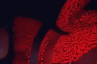 Dreamin Of Her - Image 3